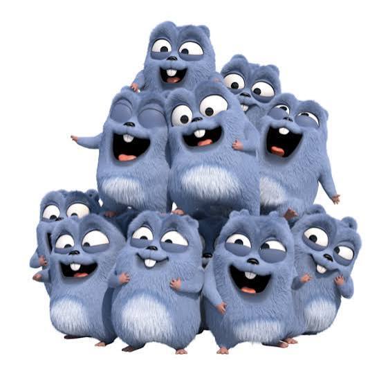 The Image  is Loading